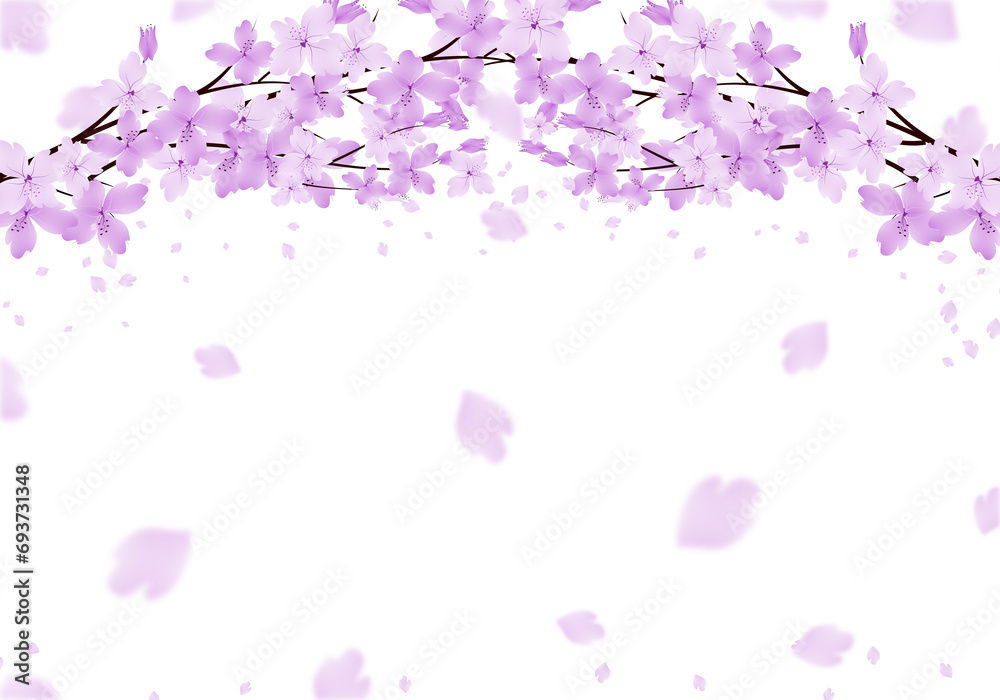 Sakura Bloom Frame. Cherry Blossom Falling Background. Spring Flowers Tree Border.