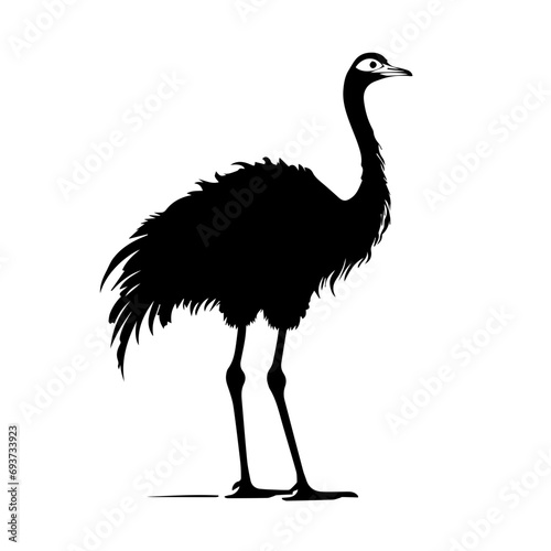 Ostrich Vector