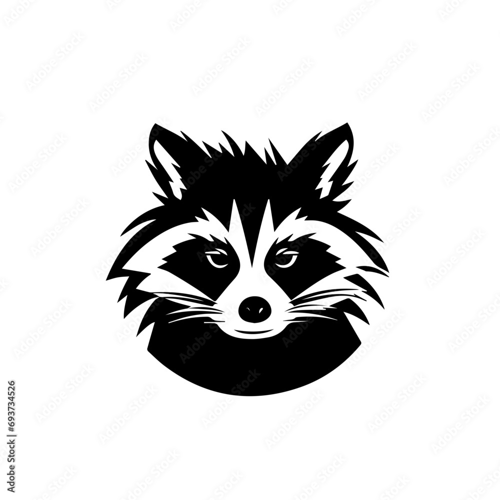 Obraz premium Raccoon Vector