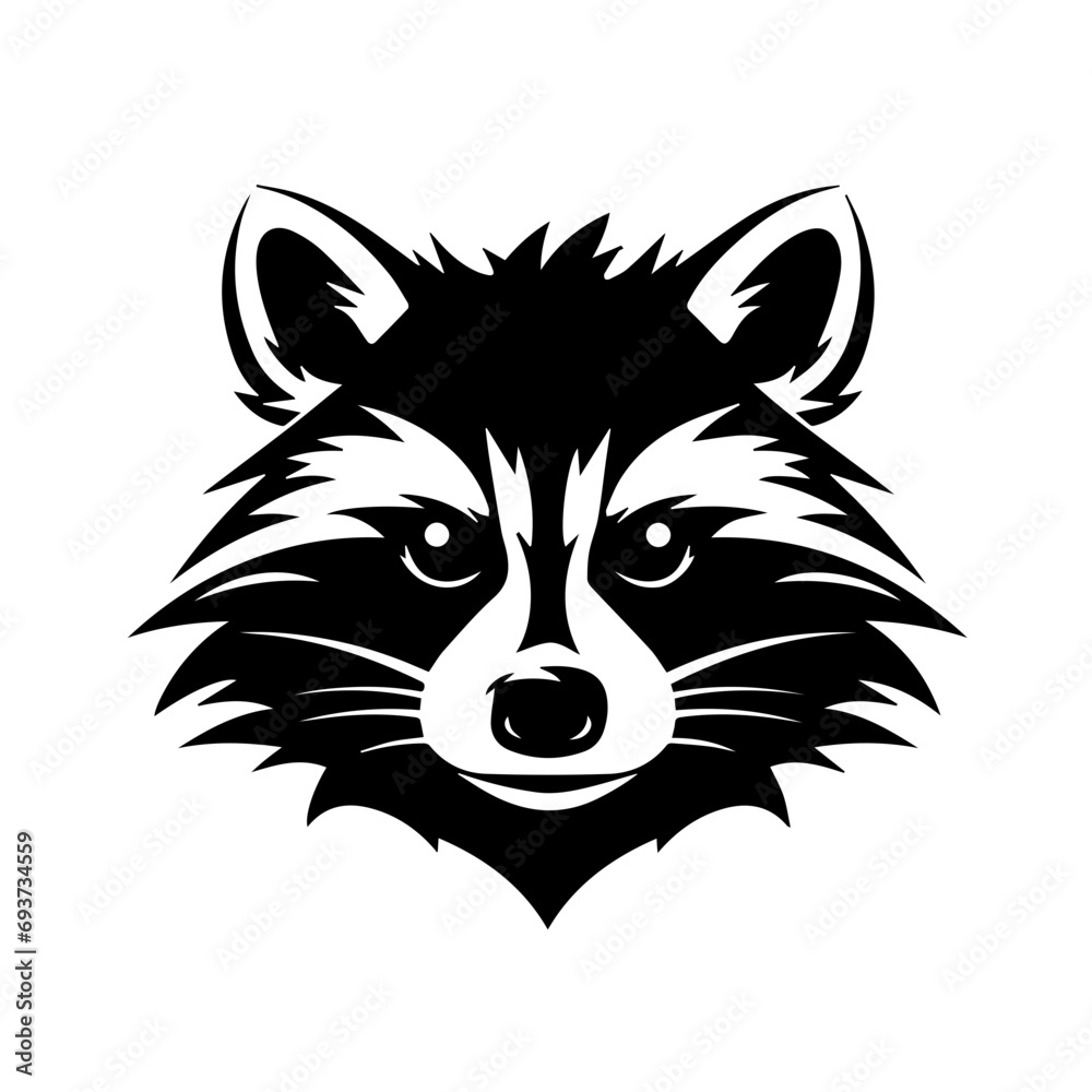 Raccoon Vector