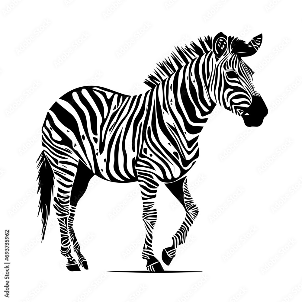 Zebra Vector