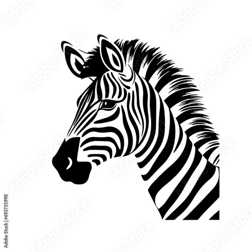 Zebra Vector © Matthew