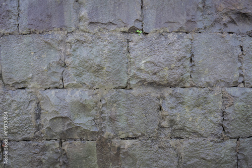 The background of the old wall is made of cement blocks, with clumps and small grasses. The background is an abstract wall texture.
