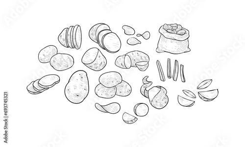 potatoes handdrawn collection