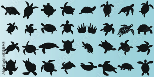 Tortues, silhouettes, turquoise, fond - Collection variée de tortues élégantes et modernes sur un fond turquoise. Représente la nature, l’océan, la mer, la faune aquatique.Idéal pour le graphisme