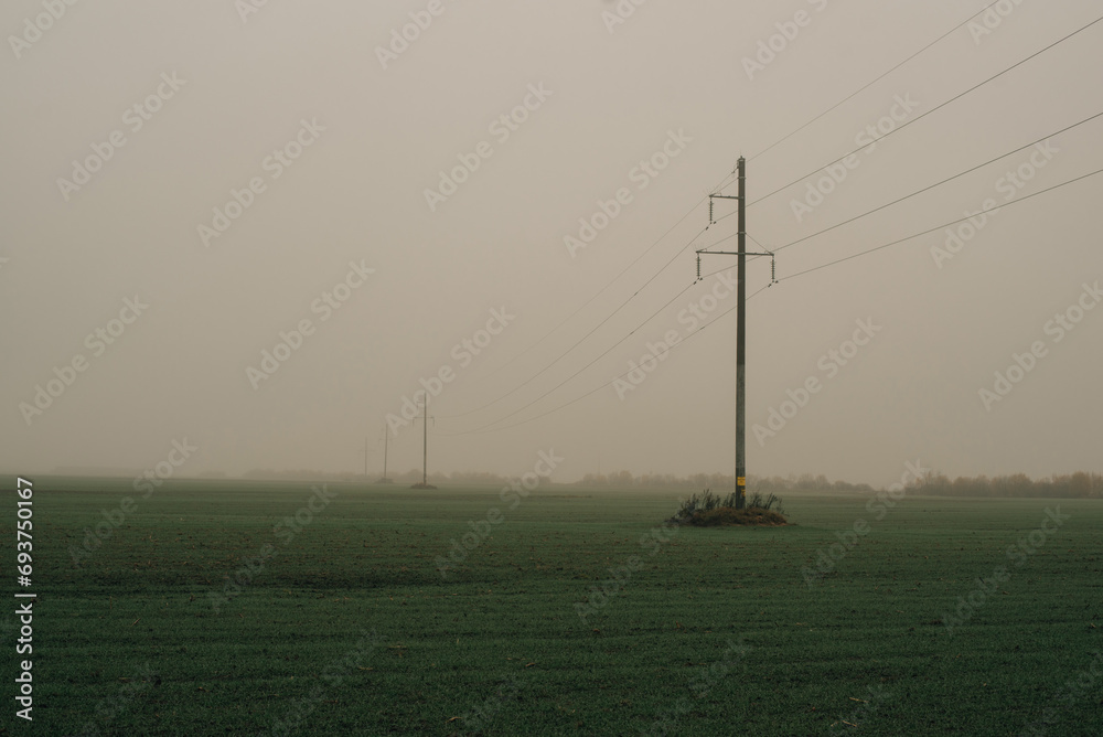 Large power lines in a foggy landscape in the sunrise.
