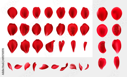 Realistic vector elements set of rose petals. Flowers plants elements leaves red petals collection for beautiful romantic womans detailed vector template