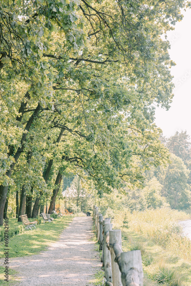 Naklejka premium Green park and tree in garden under sunset background. exercise and relax. 