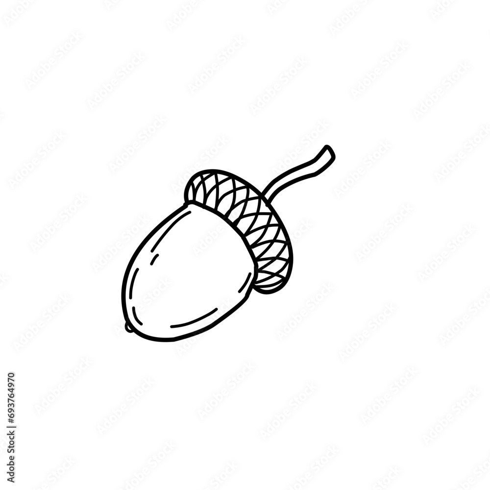 Doodle Sketch Oak Nut Acorn Doodle Sketch Oak Nut Acorn