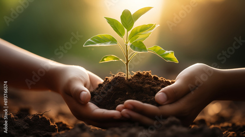 Woman hold young plant and soil with sun in background. Generative ai.
