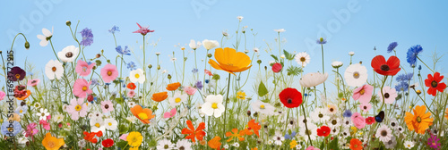 7616x2560,w6:h2, The edge of a vast and enchanting field of wildflowers © Jessada