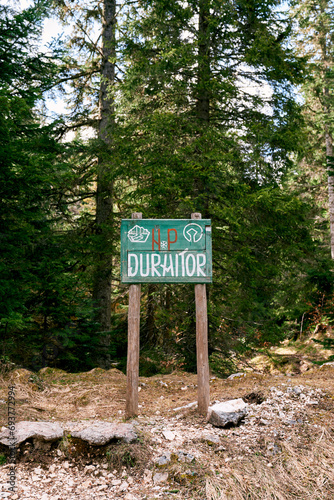 Wooden sign with an inscription near green trees in the park. Caption: Durmitor. Montenegro