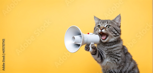 A funny cat holding a loudspeaker and screaming photo