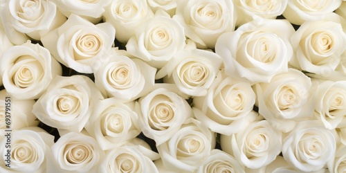 Natural fresh white roses flowers full background, Top view 
