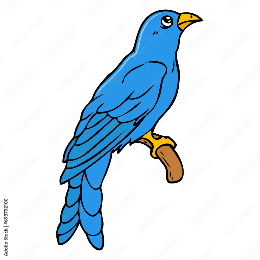 bird vector illustration