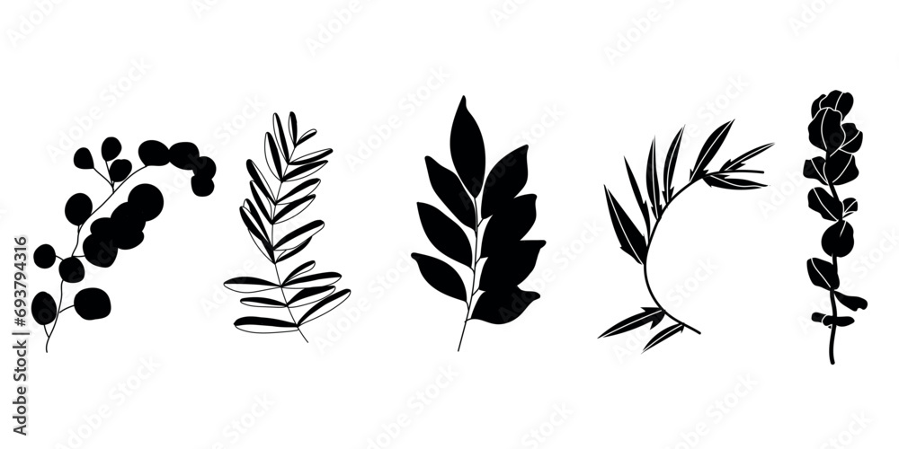 Set of different branches with leaves on white background Set of different branches with leaves on white background