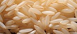 Polished rice grain in close-up.