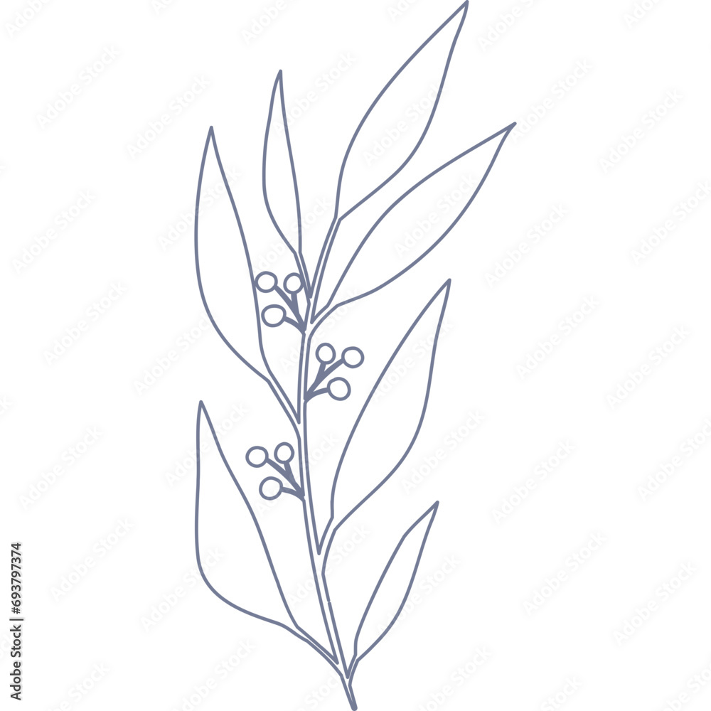 Minimalist Aesthetic Leaf Minimalist Aesthetic Leaf