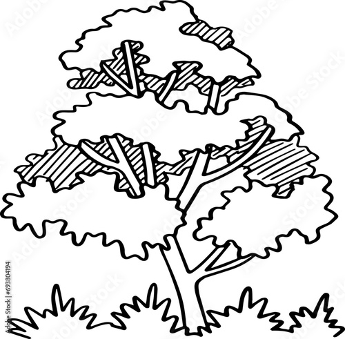 decoration hand drawn tree illustration.