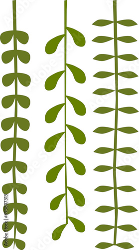 green vine with leaves.