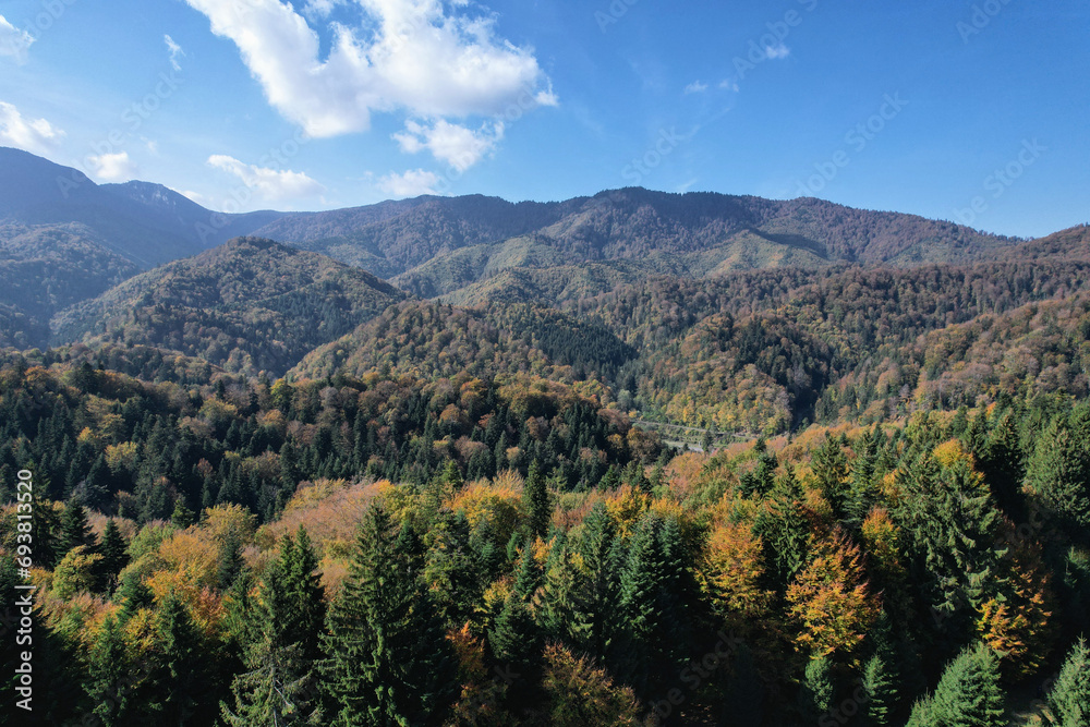 An aerial perspective captures a mountainous expanse with the forest canopy transformed by the rich colors of autumn. 