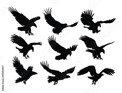 Set silhouettes of wild eagles in flight.
