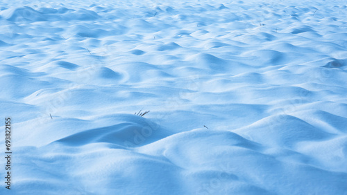 Winter snowy field background. White and blue nature Christmas backdrop