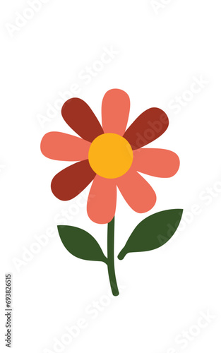 flower isolated on white