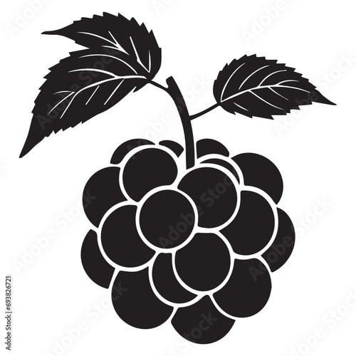 Raspberry silhouettes and icons. Black flat color simple elegant white background Raspberry vegetable vector and illustration.