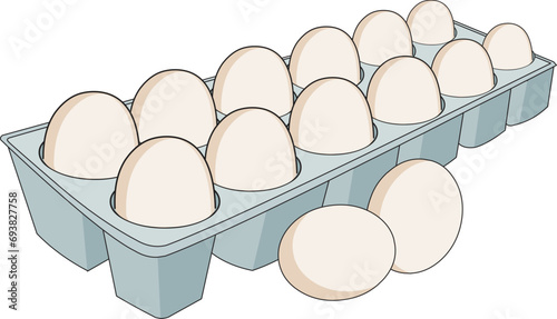 Eggs placed in a tray vector illustration