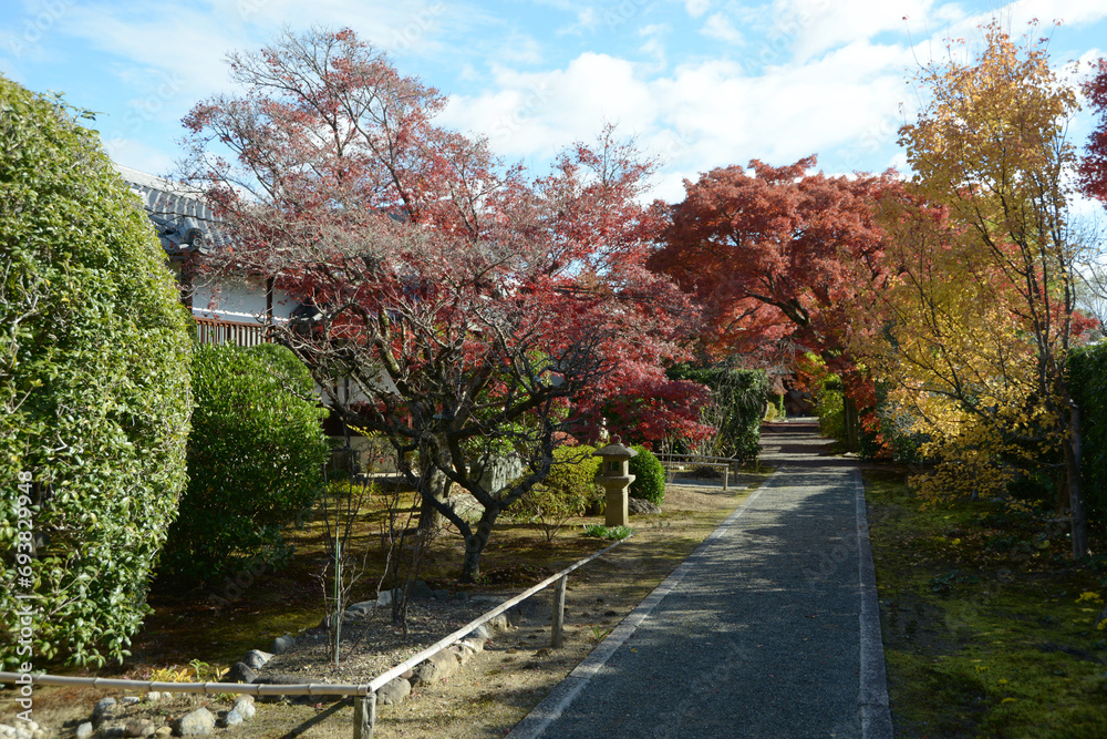 秋の妙心寺　大通院の境内　京都市右京区花園