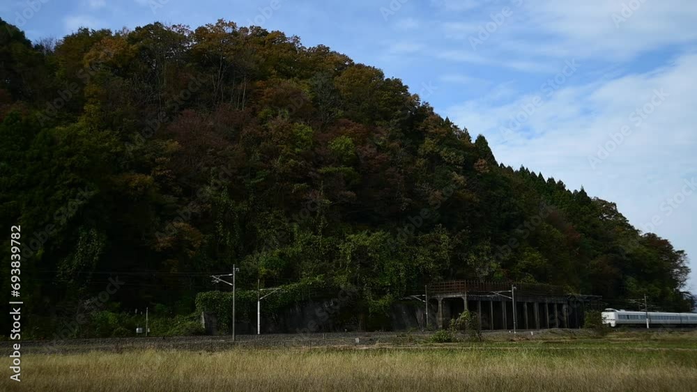 北陸新幹線敦賀延伸前の北陸本線を走る特急しらさぎ (北陸本線 南条 - 王子保, 2023年11月) 北陸新幹線敦賀延伸前の北陸本線を走る特急しらさぎ (北陸本線 南条 - 王子保, 2023年11月)