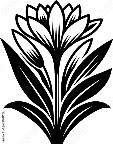 Colchicaceae plant icon 8