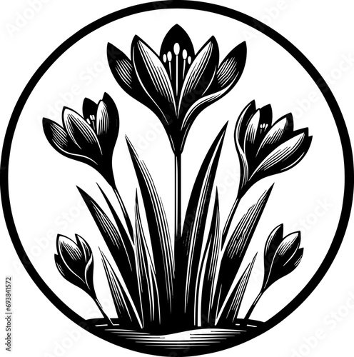 Colchicaceae plant icon 6