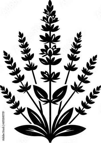 Clethraceae plant icon 12