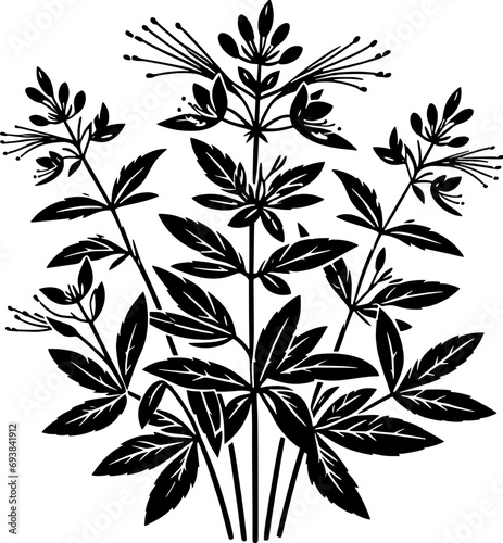 Cleomaceae plant icon 1