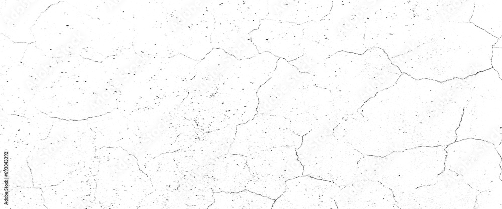 Vector grunge cracked texture Transparent background.