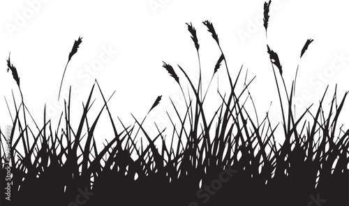 Natural grass silhouettes on white background