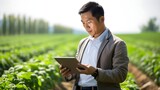 A businessperson with a tablet inspects a green lettuce field