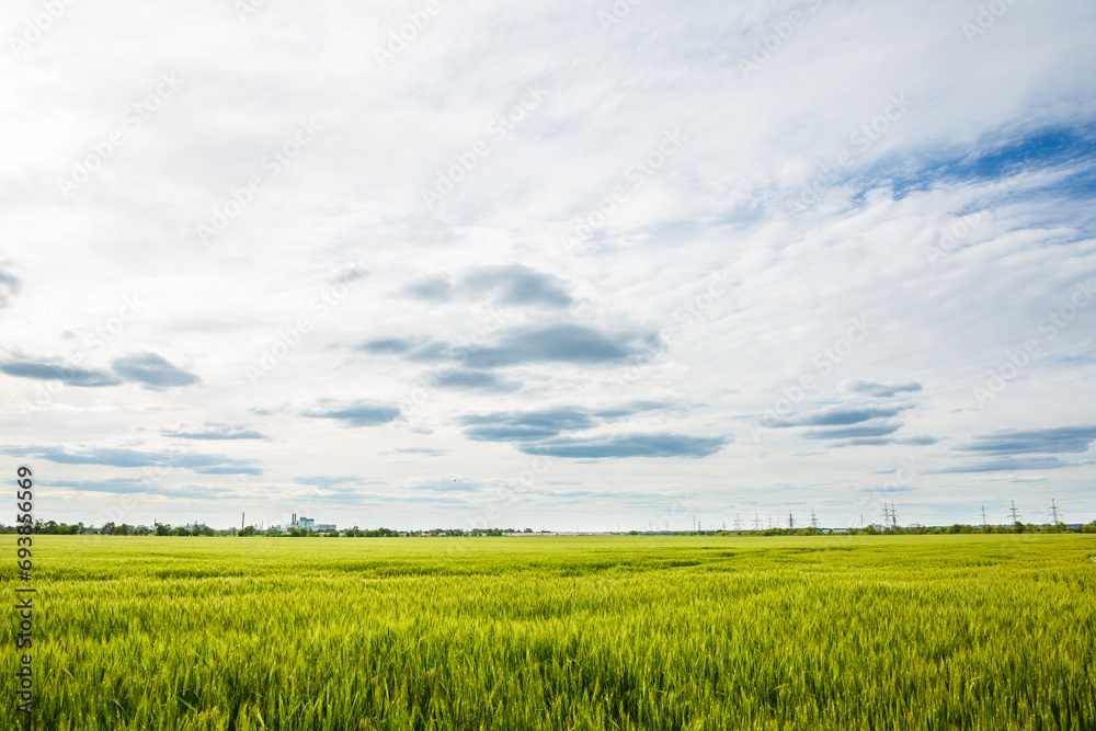 Beautiful landscape with green wheat field and clouds Beautiful landscape with green wheat field and clouds