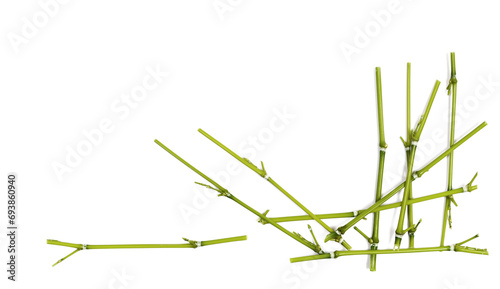 Frame green bamboo twigs, border sticks isolated on white background, top view © dule964