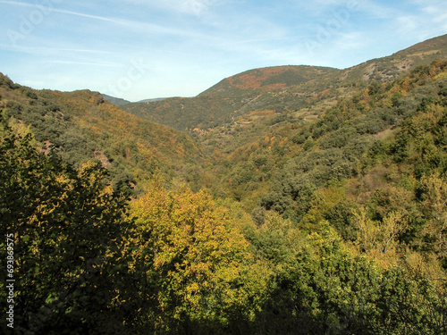View of the Devesa de la Rogueira. Las Devesas are Atlantic type forests facing north. caurel mountain range, Galicia, Spain. photo