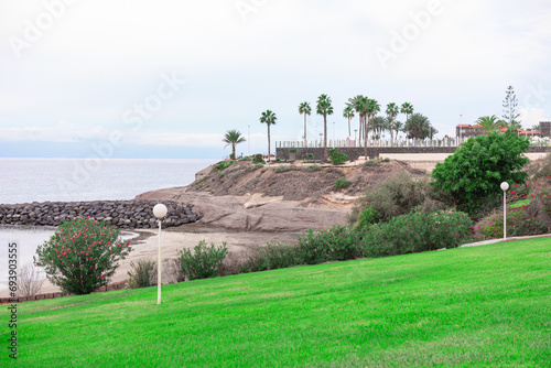 Fanabe Beach at Costa Adeje in Tenerife , Canary Islands . Beautiful landscape of sea coast with palm trees and green grass photo