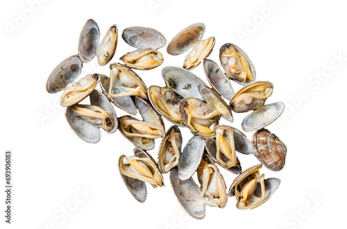 Steamed shellfish Clams with garlic and herbs. Transparent background. Isolated.