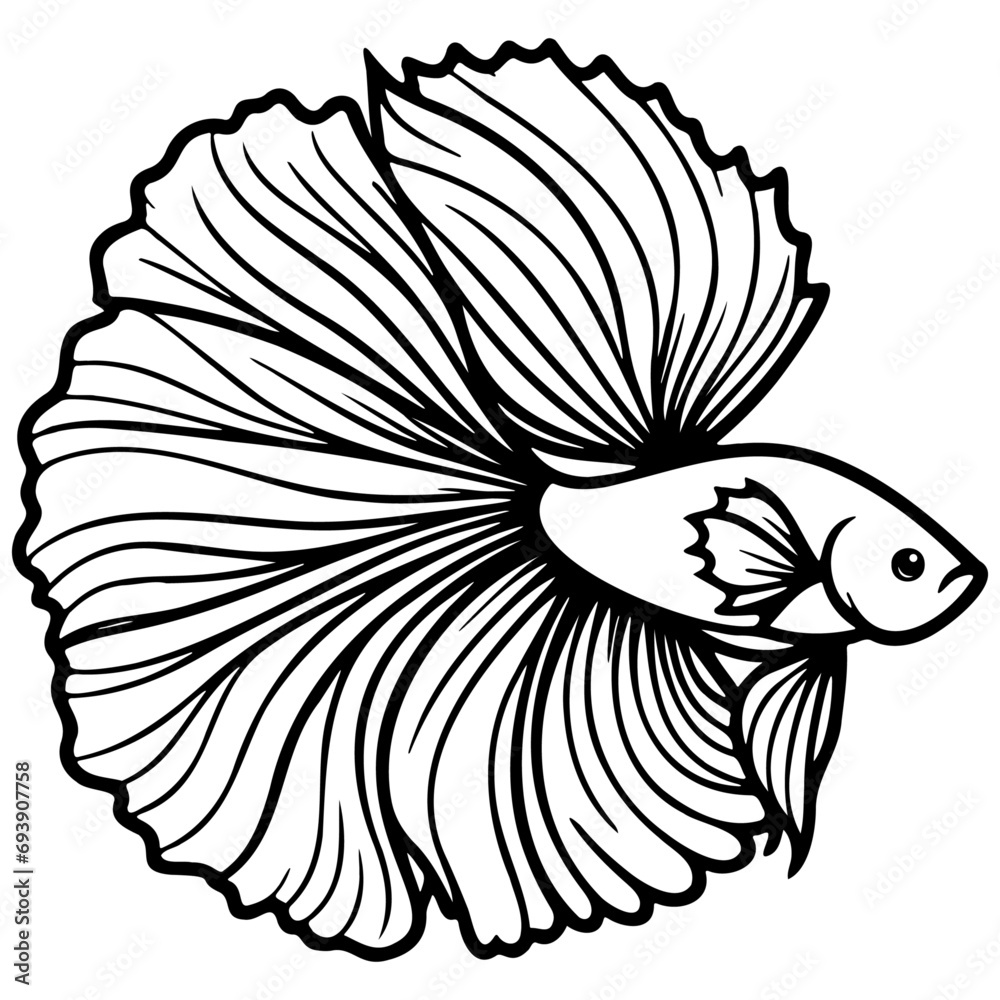 Obraz premium Betta Splendens Fish Sketch Drawing.