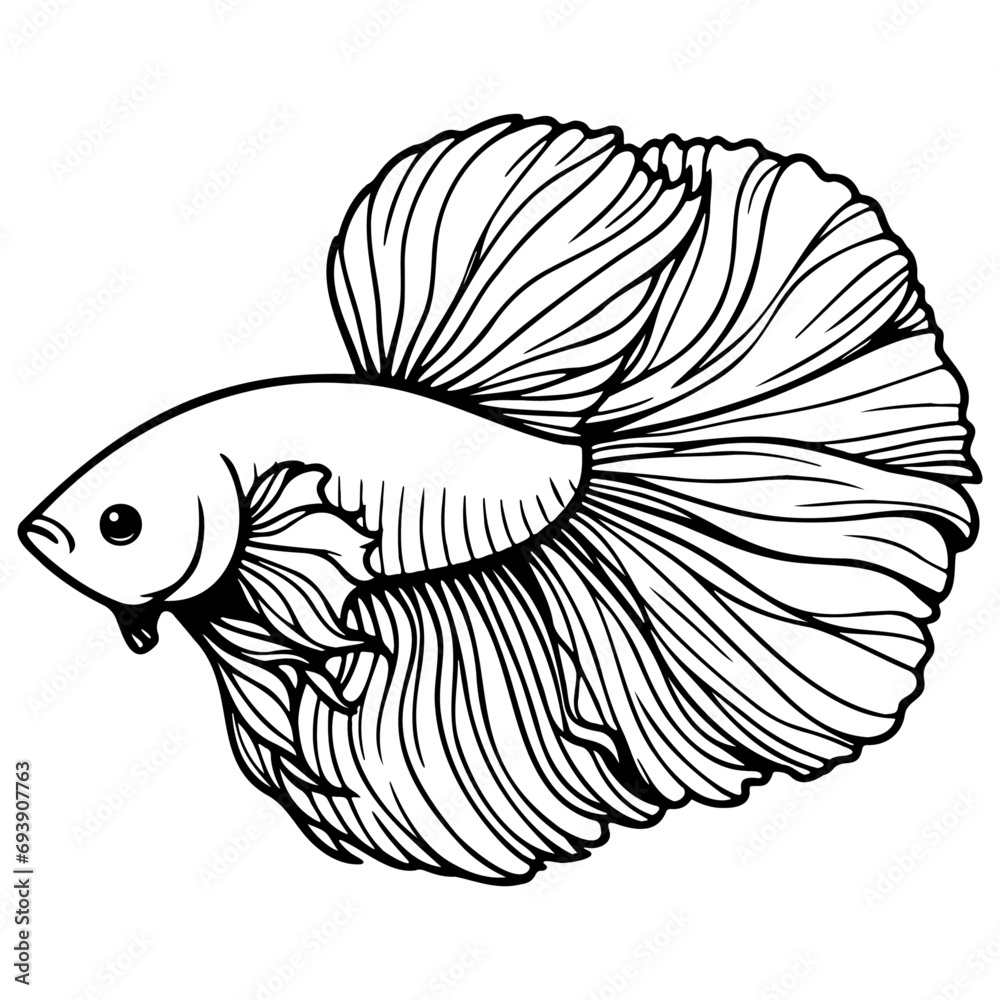 Betta Splendens Fish Sketch Drawing. Betta Splendens Fish Sketch Drawing.