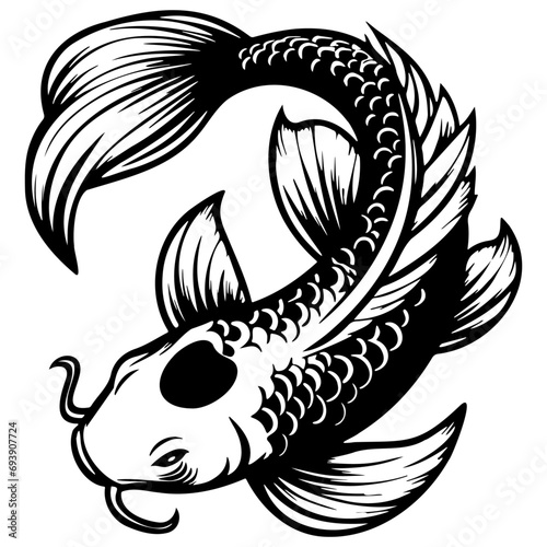 Koi Fish Sketch Drawing.
