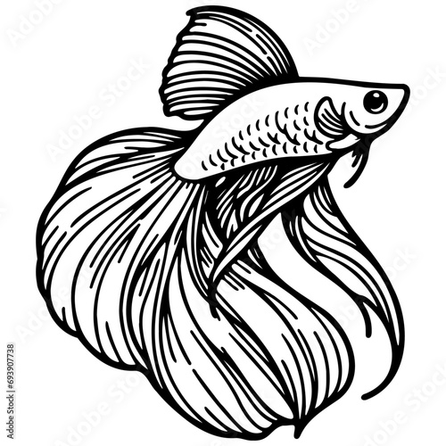 Guppy Fish Sketch Drawing.