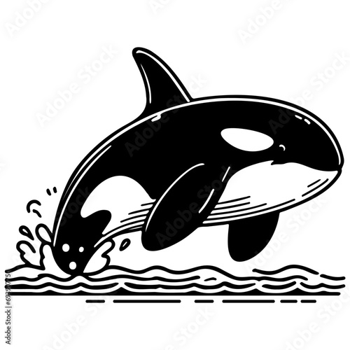 Orca Whale Illustration.