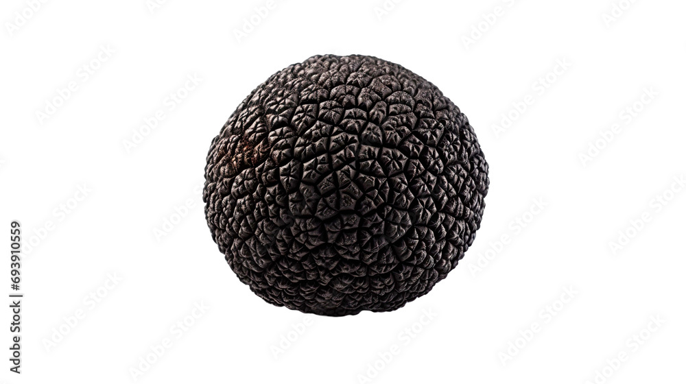 Black edible winter truffle isolated on transparent or white background. Black edible winter truffle isolated on transparent or white background.